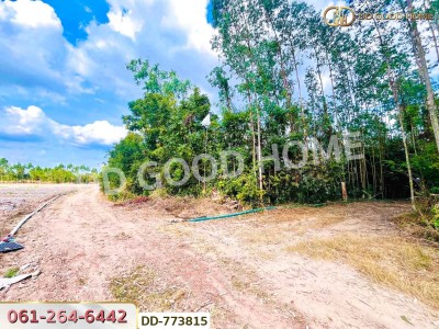 ที่ดินศรีมหาโพธิ 53 ไร่ 44.80 ตร.ว ปราจีนบุรี ใกล้นิคมโรจนะ