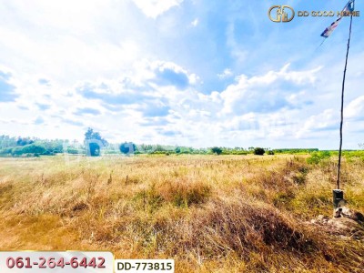 ที่ดินศรีมหาโพธิ 53 ไร่ 44.80 ตร.ว ปราจีนบุรี ใกล้นิคมโรจนะ