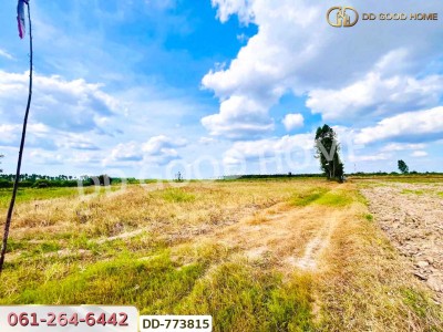 ที่ดินศรีมหาโพธิ 53 ไร่ 44.80 ตร.ว ปราจีนบุรี ใกล้นิคมโรจนะ