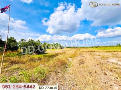 ที่ดินศรีมหาโพธิ 53 ไร่ 44.80 ตร.ว ปราจีนบุรี ใกล้นิคมโรจนะ