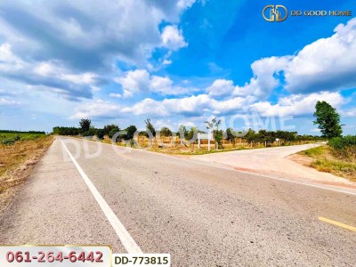 ที่ดินศรีมหาโพธิ 53 ไร่ 44.80 ตร.ว ปราจีนบุรี ใกล้นิคมโรจนะ