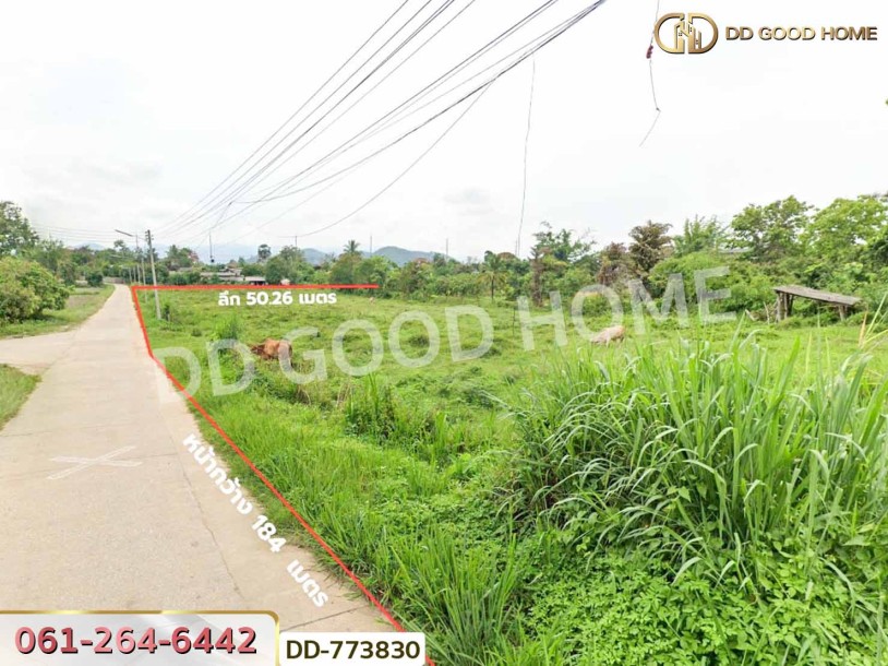 ที่ดินแม่สรวย 4 ไร่ 252 ตร.ว. เชียงราย ใกล้องค์การบริหารส่วนตำบลท่าก๊อ-6