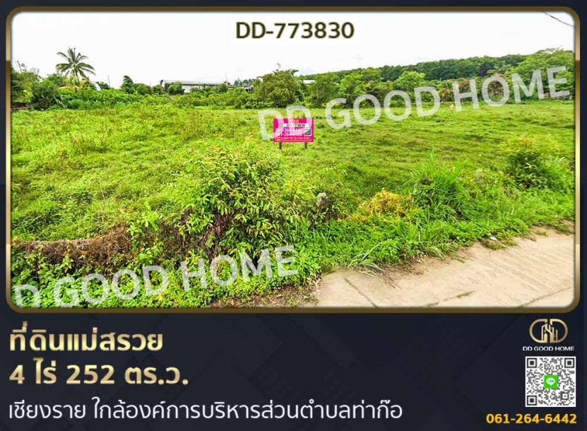 ที่ดินแม่สรวย 4 ไร่ 252 ตร.ว. เชียงราย ใกล้องค์การบริหารส่วนตำบลท่าก๊อ-1
