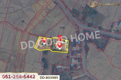 ที่ดินพร้อมสิ่งปลูกสร้างป่าแมต 1 ไร่ 345.5 ตร.ว. แพร่ ใกล้โรงเรียนอนุบาลเทศบาลตำบลป่าแมต-13