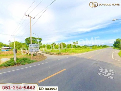 ที่ดินสามชุก 200 ตร.ว. สุพรรณบุรี ใกล้วัดสระพลอย-3