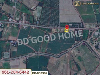 ที่ดินหนองหญ้าไซ 200 ตร.ว. สุพรรณบุรี ใกล้วัดหนองกรับ-9