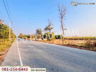 ที่ดินหนองหญ้าไซ 200 ตร.ว. สุพรรณบุรี ใกล้วัดหนองกรับ-8