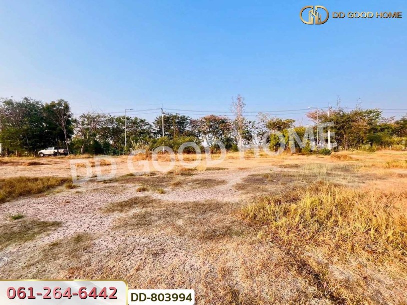 ที่ดินหนองหญ้าไซ 200 ตร.ว. สุพรรณบุรี ใกล้วัดหนองกรับ-7