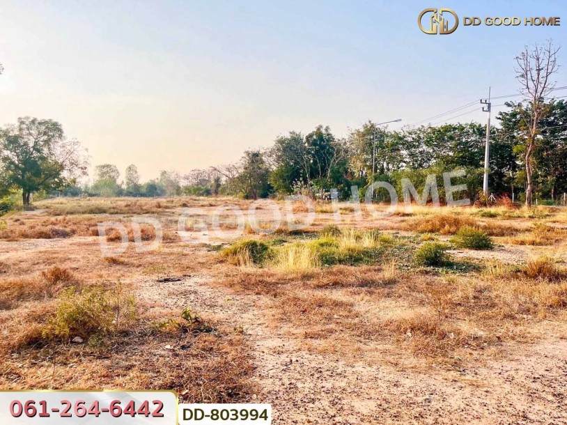ที่ดินหนองหญ้าไซ 200 ตร.ว. สุพรรณบุรี ใกล้วัดหนองกรับ-5