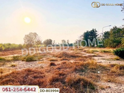 ที่ดินหนองหญ้าไซ 200 ตร.ว. สุพรรณบุรี ใกล้วัดหนองกรับ-4