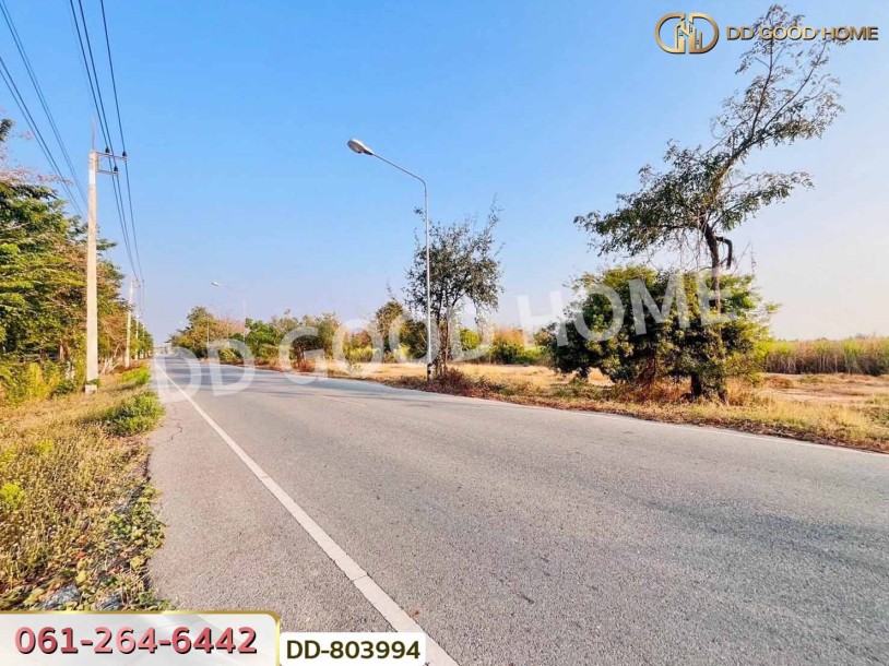 ที่ดินหนองหญ้าไซ 200 ตร.ว. สุพรรณบุรี ใกล้วัดหนองกรับ-3