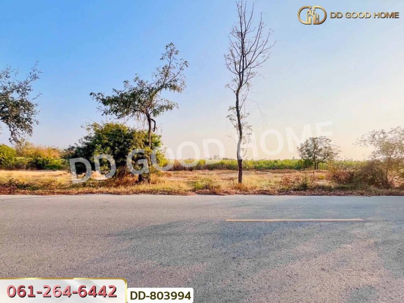 ที่ดินหนองหญ้าไซ 200 ตร.ว. สุพรรณบุรี ใกล้วัดหนองกรับ-2