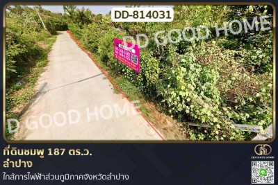 ที่ดินชมพู 169 ตร.ว. ลำปาง ใกล้การไฟฟ้าส่วนภูมิภาคจังหวัดลำปาง-1