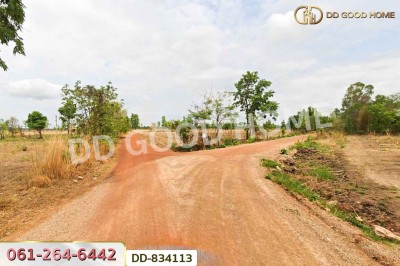 ที่ดินวานรนิวาส 15 ไร่ 388 ตร.ว. สกลนคร ใกล้โรงเรียนบ้านสุวรรณคีรี-4