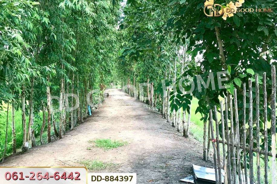ที่ดินท่าสองคอน 3 ไร่ 100 ตร.ว. มหาสารคาม ใกล้ทะเลบัวแดง-3