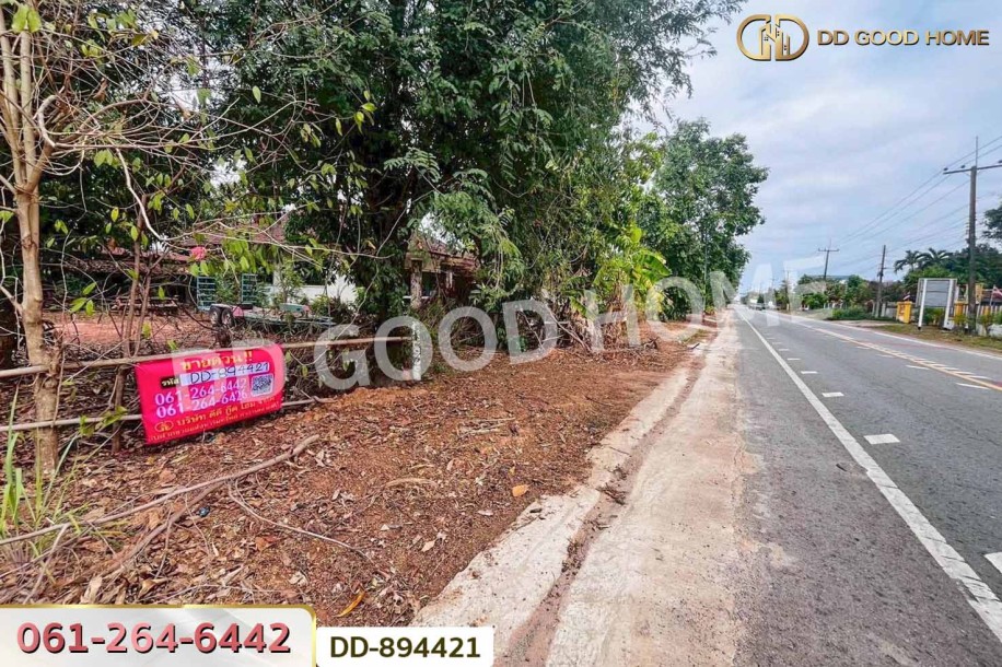 ที่ดินโนนสะอาด 92 ตร.ว.อุดรธานี ใกล้โรงเรียนชุมชนบ้านบุ่งแก้ว-10