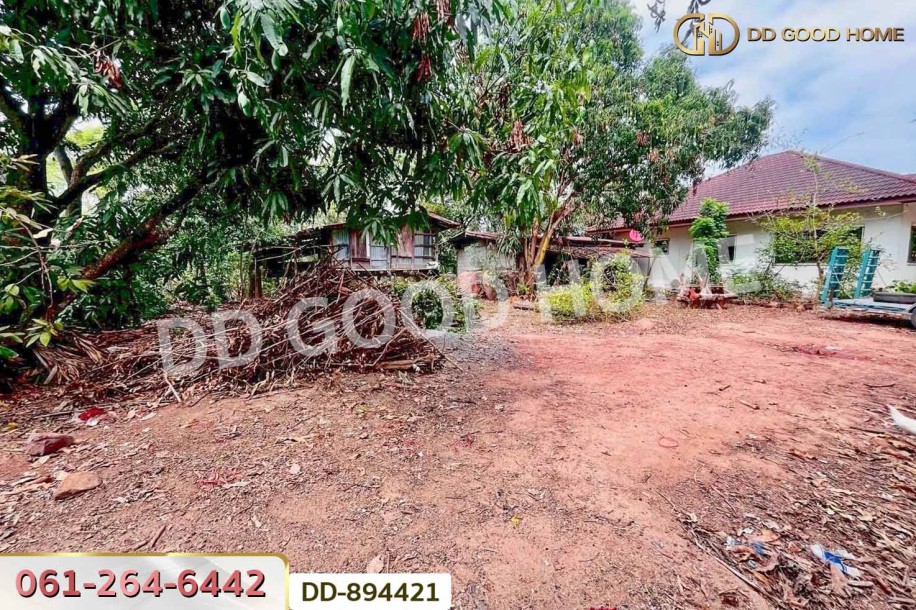 ที่ดินโนนสะอาด 92 ตร.ว.อุดรธานี ใกล้โรงเรียนชุมชนบ้านบุ่งแก้ว-8