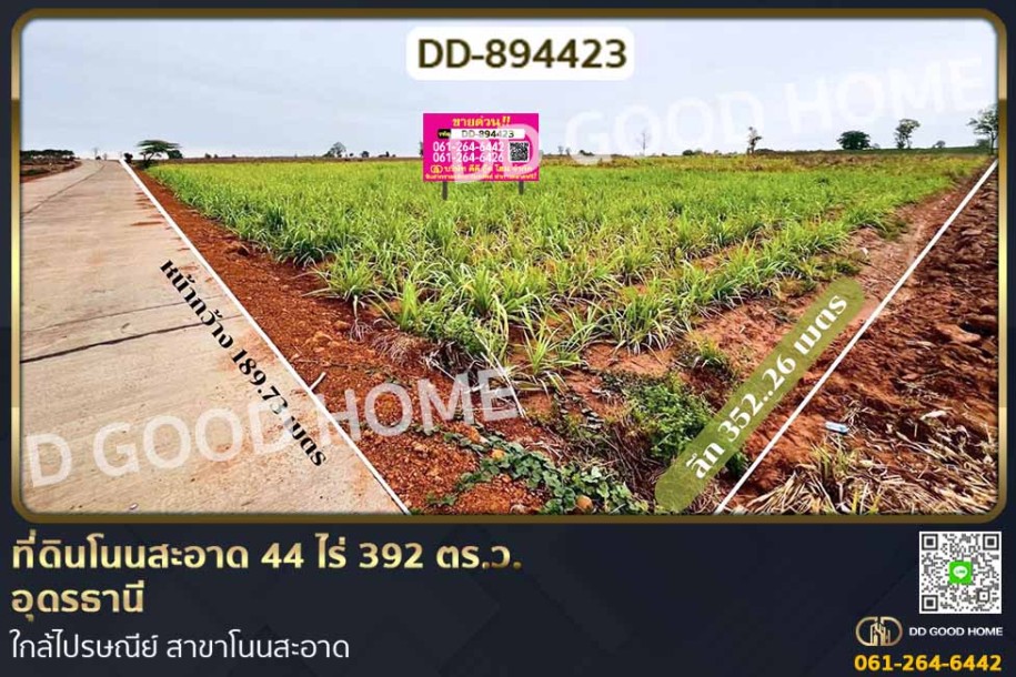 ที่ดินโนนสะอาด 44 ไร่ 392 ตร.ว. อุดรธานี ใกล้ไปรษณีย์ สาขาโนนสะอาด-1