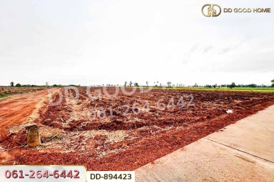 ที่ดินโนนสะอาด 44 ไร่ 392 ตร.ว. อุดรธานี ใกล้ไปรษณีย์ สาขาโนนสะอาด-6