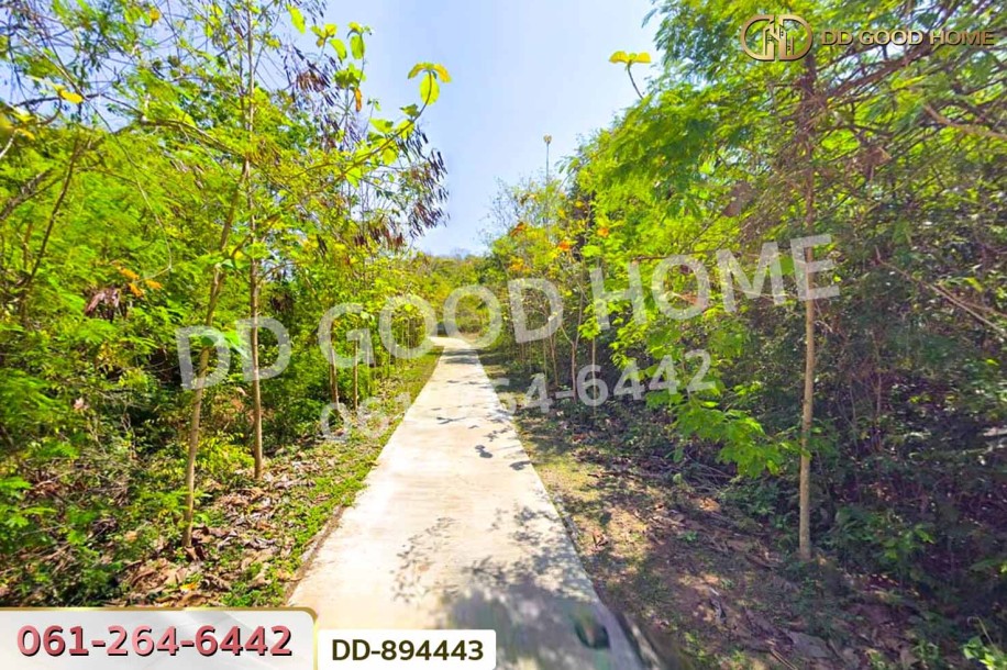 ที่ดินเมืองหนองบัวลำภู 2 ไร่ 37 ตร.ว. ใกล้โรงพยาบาลหนองบัวลำภู-5