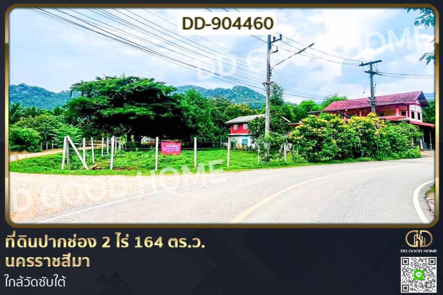 ที่ดินปากช่อง 2 ไร่ 164 ตร.ว. นครราชสีมา ใกล้วัดซับใต้-1