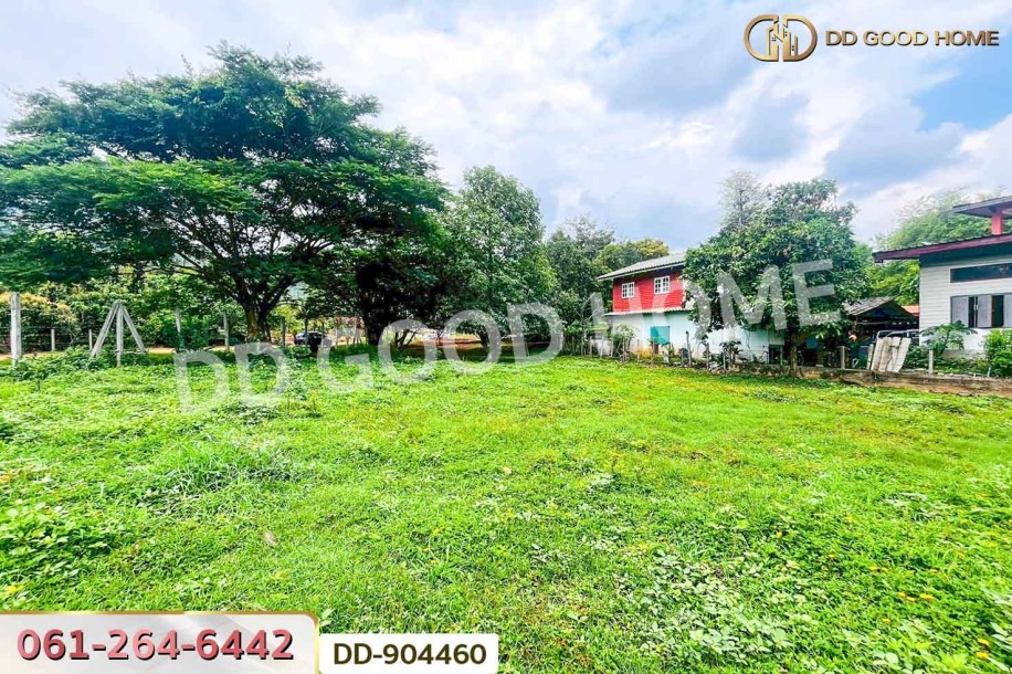 ที่ดินปากช่อง 2 ไร่ 164 ตร.ว. นครราชสีมา ใกล้วัดซับใต้-7