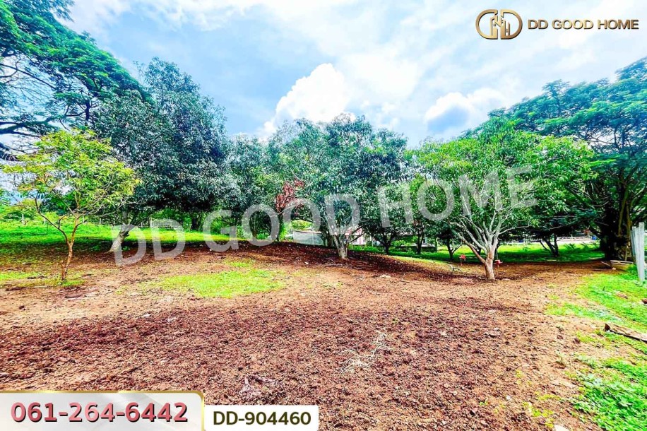 ที่ดินปากช่อง 2 ไร่ 164 ตร.ว. นครราชสีมา ใกล้วัดซับใต้-6