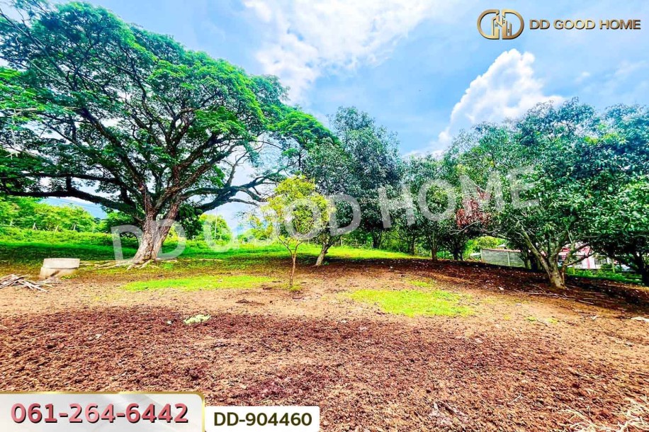 ที่ดินปากช่อง 2 ไร่ 164 ตร.ว. นครราชสีมา ใกล้วัดซับใต้-5