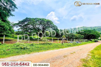 ที่ดินปากช่อง 2 ไร่ 164 ตร.ว. นครราชสีมา ใกล้วัดซับใต้-4