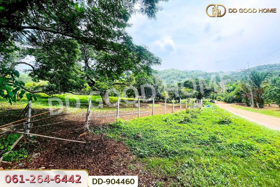 ที่ดินปากช่อง 2 ไร่ 164 ตร.ว. นครราชสีมา ใกล้วัดซับใต้-3