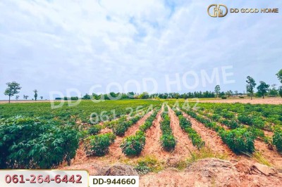 ที่ดินโนนสะอาด 11 ไร่ 349 ตร.ว. อุดรธานี ใกล้โรงเรียนบ้านหนองโก-4