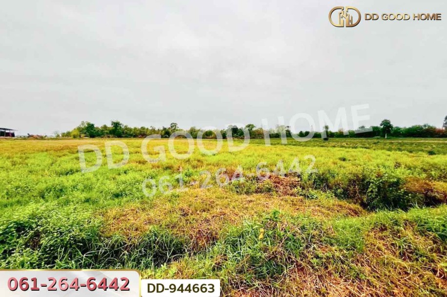 ที่ดินหนองหว้า 44 ไร่ 119 ตร.ว. กุมภวาปี อุดรธานี ใกล้สำนักงานเทศบาลตำบลห้วยเกิ้ง-3