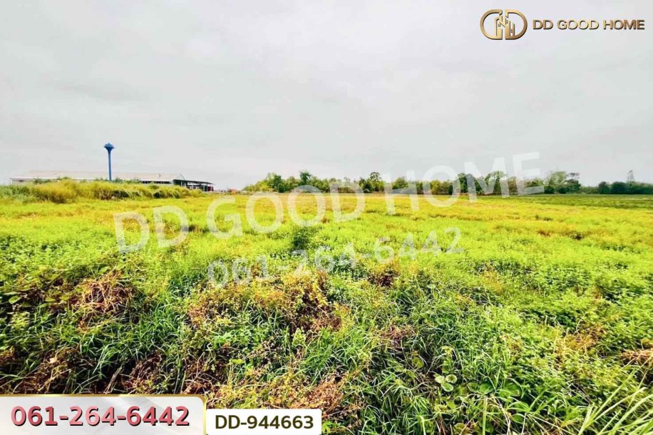 ที่ดินหนองหว้า 44 ไร่ 119 ตร.ว. กุมภวาปี อุดรธานี ใกล้สำนักงานเทศบาลตำบลห้วยเกิ้ง-2