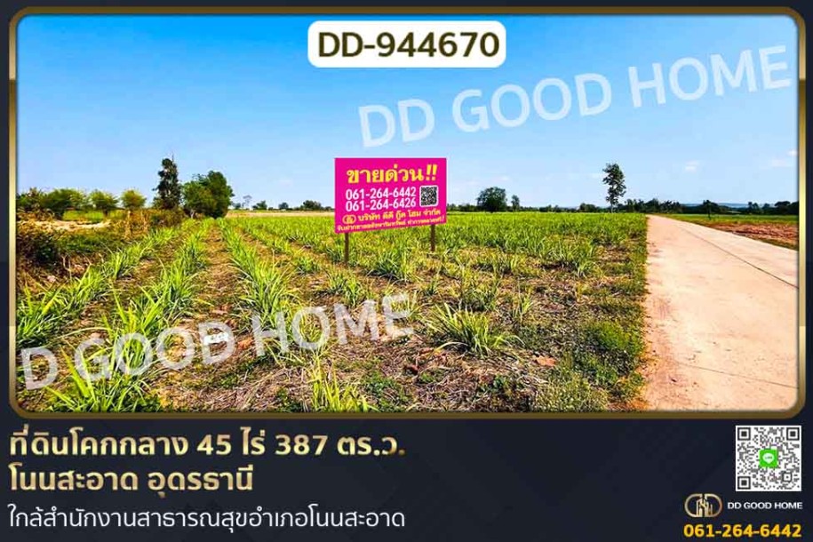 ที่ดินโคกกลาง 45 ไร่ 387 ตร.ว. โนนสะอาด อุดรธานี ใกล้สำนักงานสาธารณสุขอำเภอโนนสะอาด-1