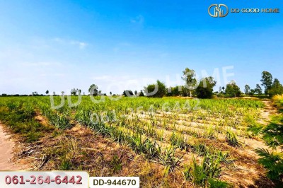 ที่ดินโคกกลาง 45 ไร่ 387 ตร.ว. โนนสะอาด อุดรธานี ใกล้สำนักงานสาธารณสุขอำเภอโนนสะอาด
