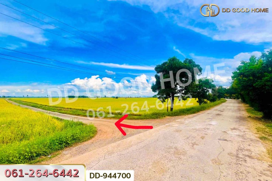 ที่ดินเกยไชย 10 ไร่ 259 ตร.ว. ชุมแสง นครสวรรค์ ใกล้ที่ว่าการอำเภอชุมแสง.-4