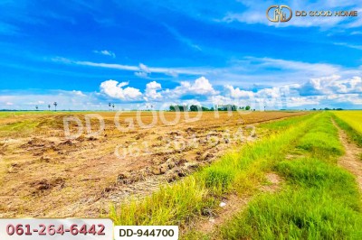 ที่ดินเกยไชย 10 ไร่ 259 ตร.ว. ชุมแสง นครสวรรค์ ใกล้ที่ว่าการอำเภอชุมแสง.