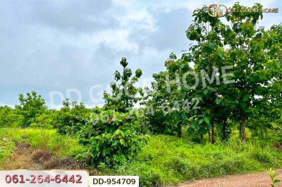 ที่ดินศาลาลำดวน 3 ไร่ 69.5 ตร.ว. สระแก้ว ใกล้โรงเรียนบ้านท่าช้าง