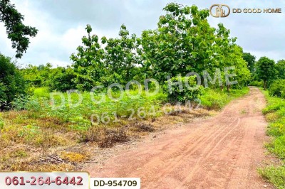 ที่ดินศาลาลำดวน 3 ไร่ 69.5 ตร.ว. สระแก้ว ใกล้โรงเรียนบ้านท่าช้าง