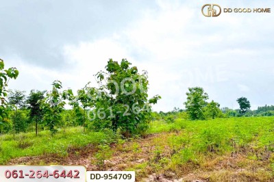 ที่ดินศาลาลำดวน 3 ไร่ 69.5 ตร.ว. สระแก้ว ใกล้โรงเรียนบ้านท่าช้าง