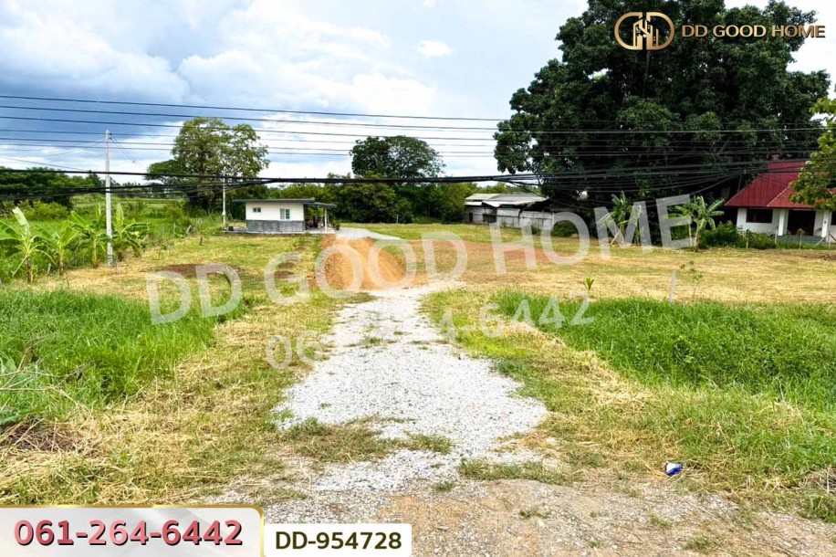ที่ดินเมืองลำพูน 1 ไร่ 236 ตร.ว. ลำพูน ใกล้โกลบอลเฮ้าส์-3