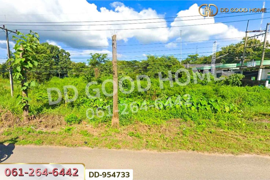 ที่ดินบ้านต๋อม 4 ไร่ 280.8 ตร.ว พะเยา ใกล้สถาบันวิทยาการจัดการแห่งแปซิฟิค-3