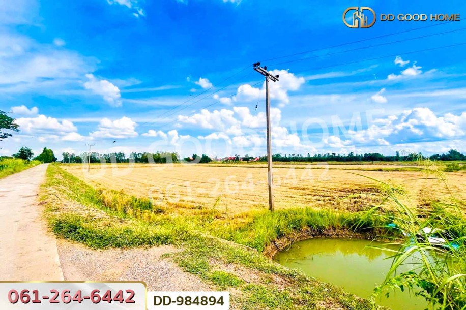 ที่ดินเกยไชย 30 ไร่ 347 ตร.ว. ชุมแสง นครสวรรค์ ใกล้ที่ว่าการอำเภอชุมแสง.-3