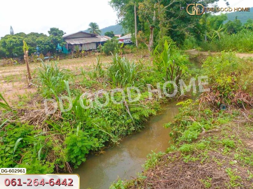 ที่ดิน อ.เชียงดาว 2 ไร่ 304 ตร.ว. เชียงใหม่-3