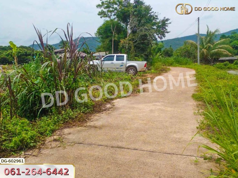 ที่ดิน อ.เชียงดาว 2 ไร่ 304 ตร.ว. เชียงใหม่-2