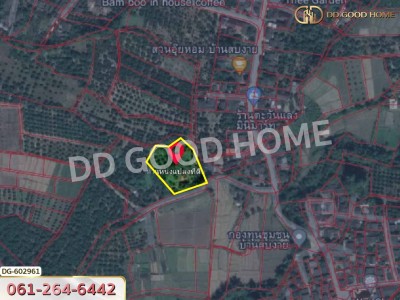 ที่ดิน อ.เชียงดาว 2 ไร่ 304 ตร.ว. เชียงใหม่-10