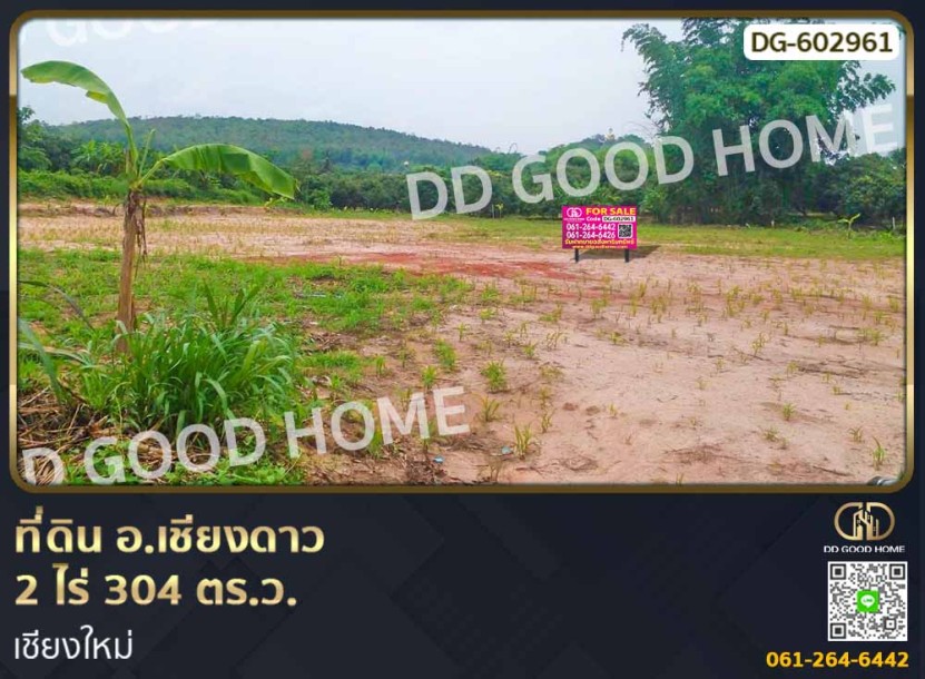 ที่ดิน อ.เชียงดาว 2 ไร่ 304 ตร.ว. เชียงใหม่-1