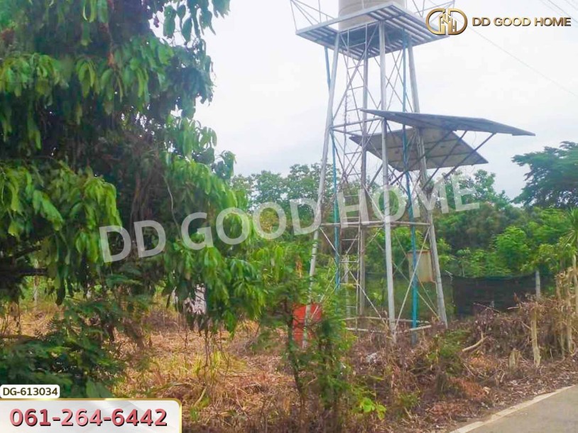 ที่ดิน อ.สารภี 3 ไร่ 197 ตร.ว. เชียงใหม่-2