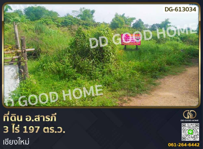 ที่ดิน อ.สารภี 3 ไร่ 197 ตร.ว. เชียงใหม่-1