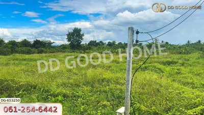 ที่ดินเมืองลำพูน 4 ไร่ 392 ตร.ว. ใกล้วิทยาลัยเทคโนโลยีหมู่บ้านครูภาคเหนือ